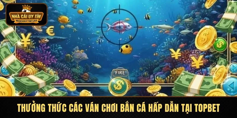 Thưởng thức các ván chơi bắn cá hấp dẫn tại Topbet